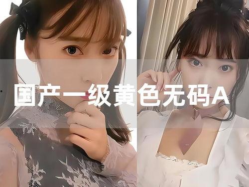 国产有码在线播放